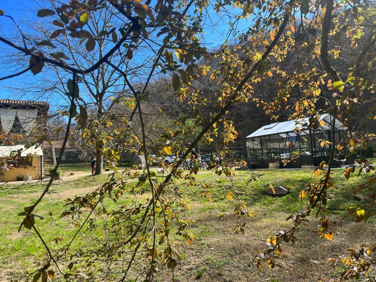Agriturismo Biomatto Arona Εξωτερικό φωτογραφία